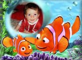 NEMO (17)+lizi site